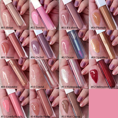 High Pigment Makeup Lip Gloss