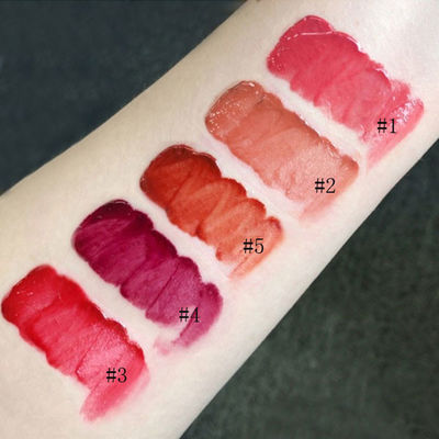 5 Colors Vegan Waterproof Makeup Lip Gloss