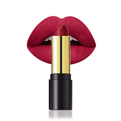 Long Lasting Red High Pigment Vegan Makeup Lipstick